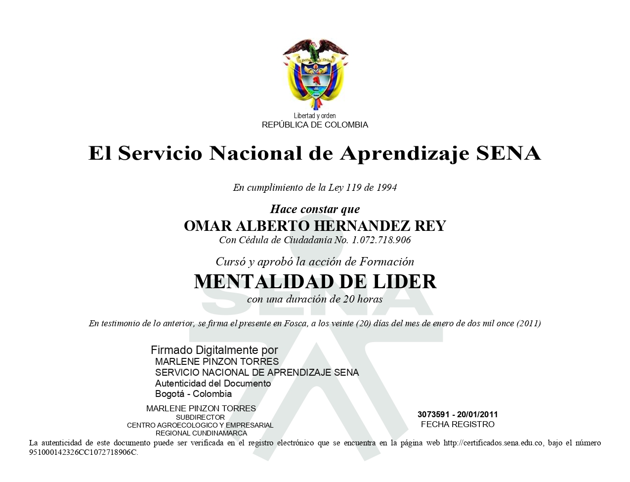 Mentalidad de Líder